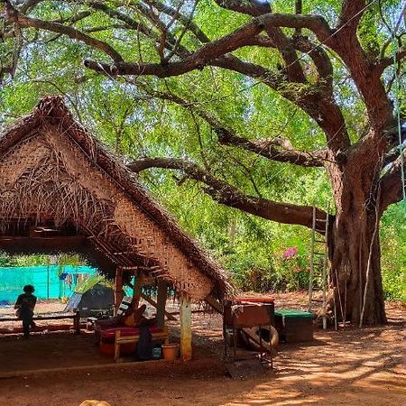 Travellers Tribe By Livelehood Habitat Vandrarhem Auroville Exteriör bild