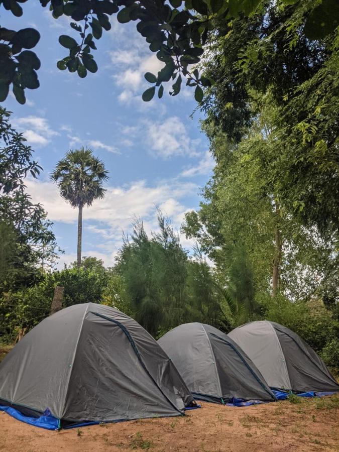 Travellers Tribe By Livelehood Habitat Vandrarhem Auroville Exteriör bild