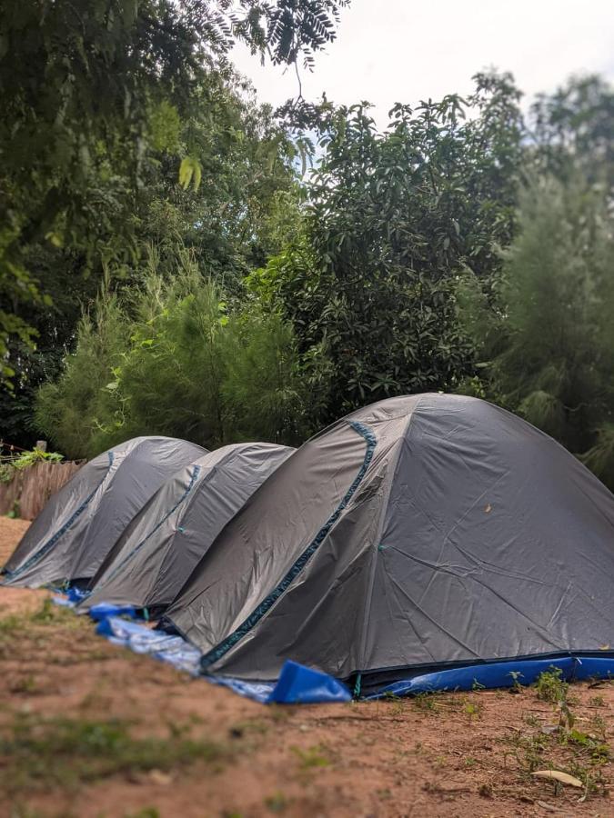 Travellers Tribe By Livelehood Habitat Vandrarhem Auroville Exteriör bild