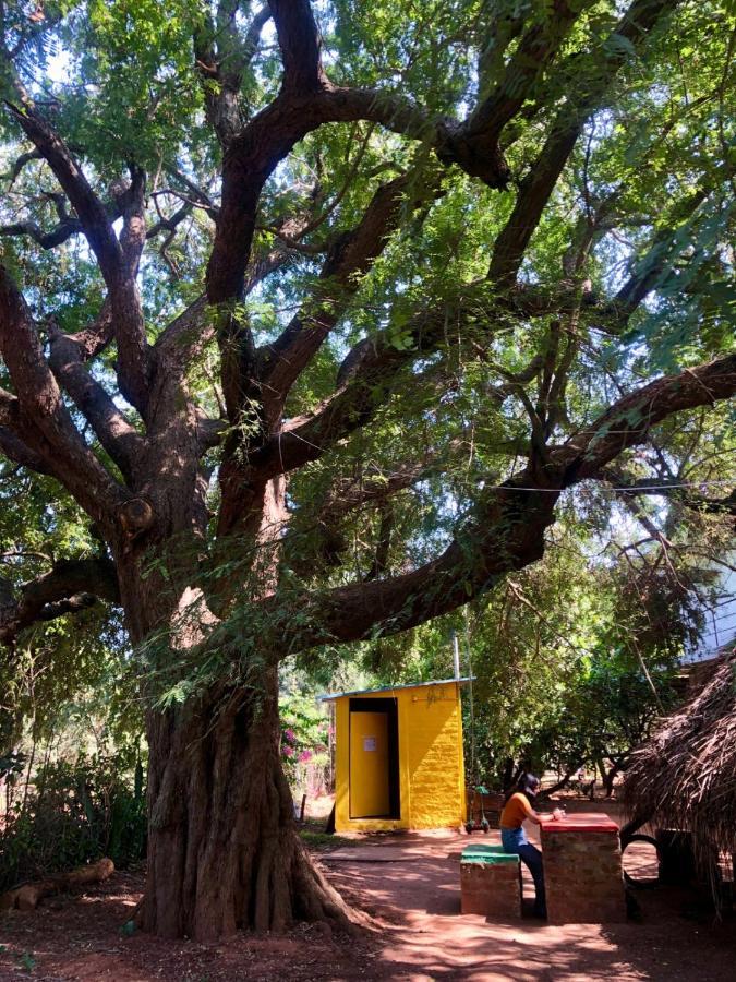 Travellers Tribe By Livelehood Habitat Vandrarhem Auroville Exteriör bild