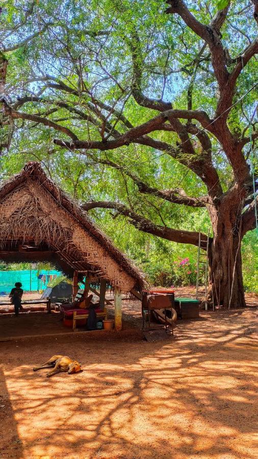 Travellers Tribe By Livelehood Habitat Vandrarhem Auroville Exteriör bild
